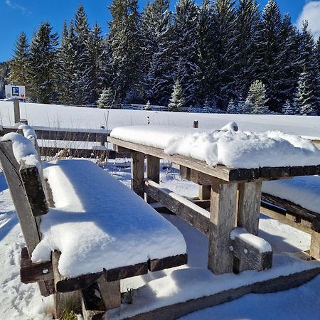 Appartement Bergsee - einfach wohlfühlen! Seefeld in Tirol Exterior foto