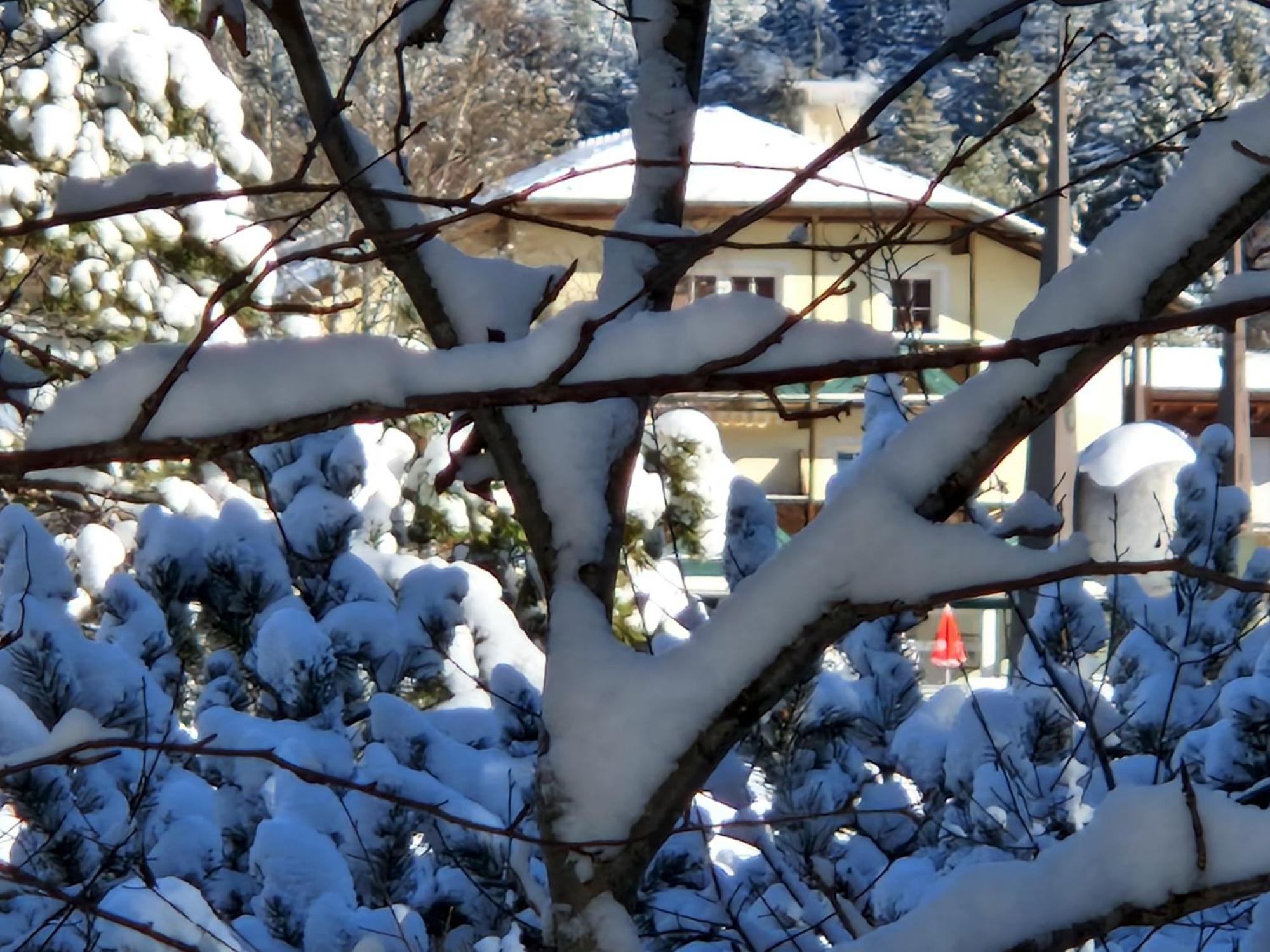 Appartement Bergsee - einfach wohlfühlen! Seefeld in Tirol Exterior foto