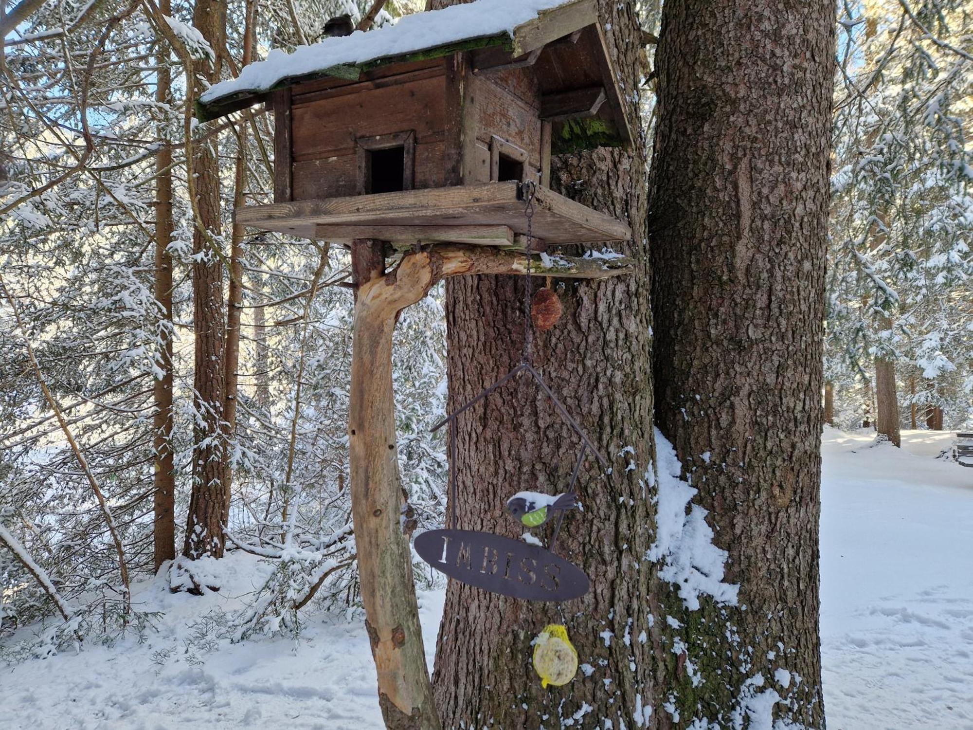 Appartement Bergsee - einfach wohlfühlen! Seefeld in Tirol Exterior foto